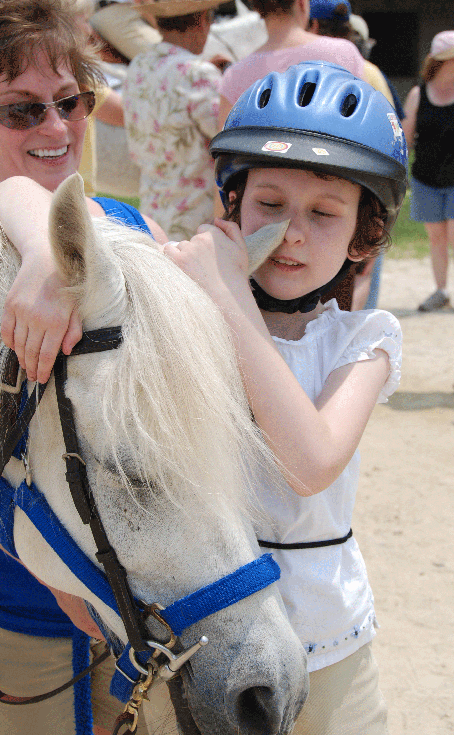 horse 2