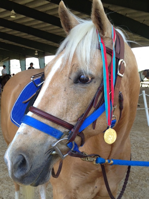 horse 3